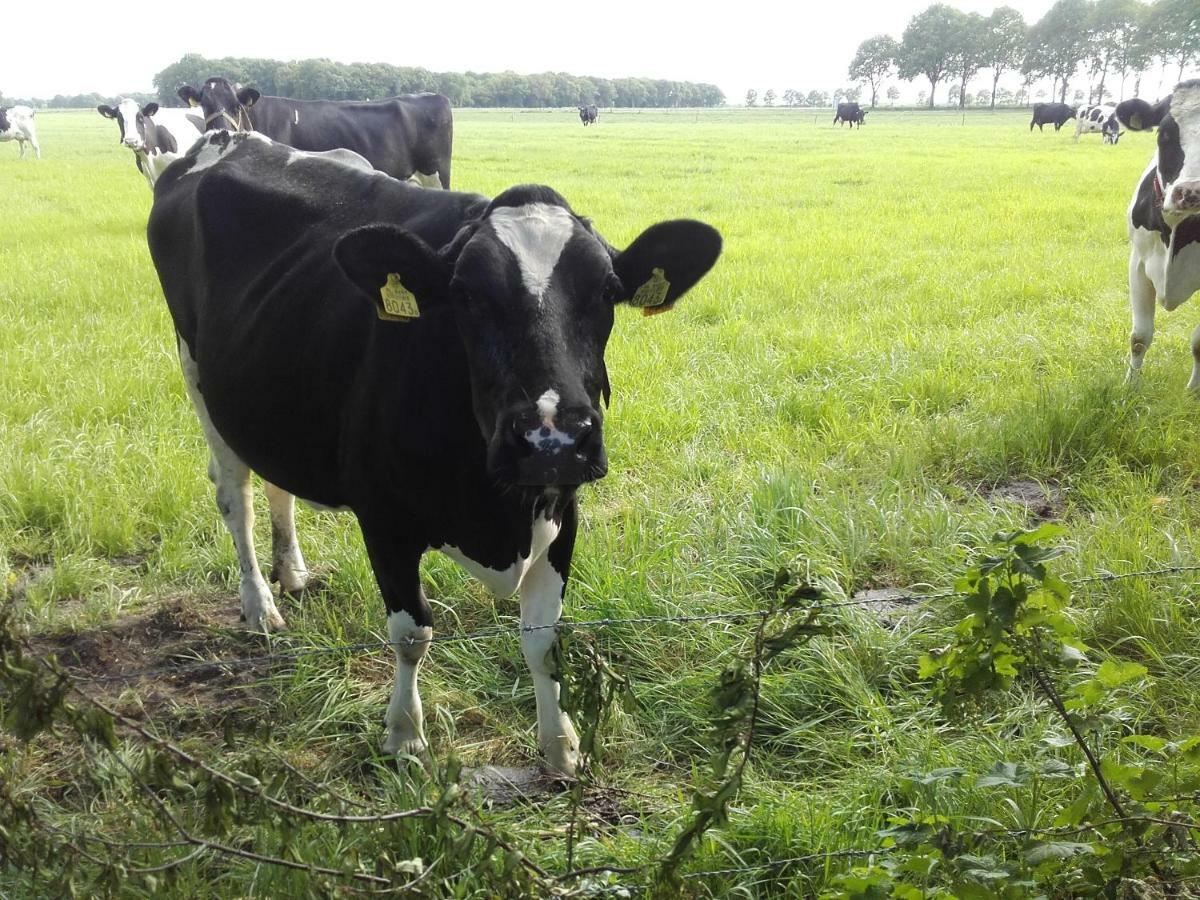 De Oude Smederij * Noord-Sleen